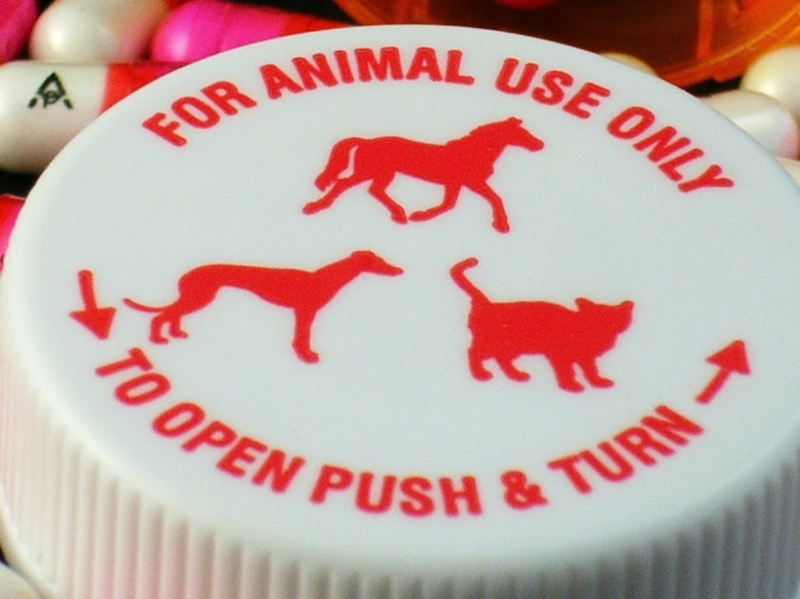 moving company moving services