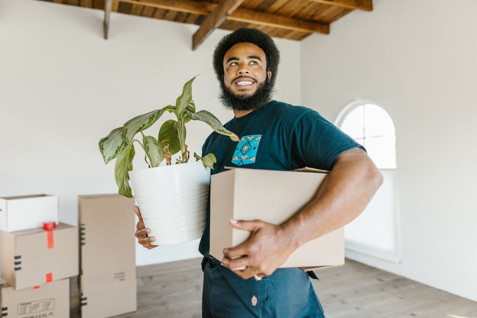 A man with dark curly hair and a beard, wearing a navy blue t-shirt, is seen inside a room with white walls, a wooden ceiling, and a large arched window in the background. He is holding a white ceramic pot containing a green leafy plant in one hand and a cardboard box in the other, indicating active packing or unpacking during a home relocation. The room contains several cardboard boxes, some sealed with red tape, stacked on the wooden floor near the wall. The lighting is natural, coming from the window. This scene illustrates furniture transport and packing activities involved in house removals, and it features the professional services of Man with Van Stoke Newington, specialists in removals.