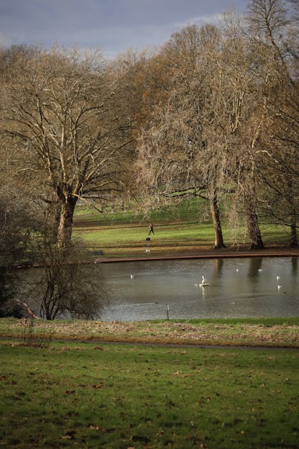 A spacious park scene during daytime featuring a small pond with several swans floating on the water. Surrounding the pond are large, leafless trees indicating early spring or late autumn, with mature branches extending outward and upward. The pond is bordered by a narrow strip of grass and a low, wooden or concrete edge. In the background, a person is walking along a distant pathway, and the sky above is partly cloudy with patches of blue visible. The area appears calm and well-maintained, suitable for outdoor leisure activities. This setting exemplifies the tranquil environment often associated with Clissold Park, located near Stoke Newington, and highlights the natural landscape typical of a city park used for relaxation and outdoor recreation.