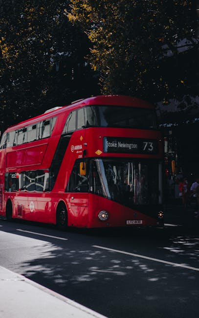 A red double-decker bus with the destination sign displaying 'Stoke Newington' and route number 73 is moving along a street in daylight, partially shaded by trees with dark green foliage. The bus has a modern design with large front windows and two levels of seating visible through the glass. The street features a white dividing line, and the background shows shadows cast by trees, indicating a sunny day. To the right, there are some pedestrians standing near the sidewalk, which is lined with trees and urban infrastructure. The image captures an urban setting suitable for house removals or relocation transportation, highlighting the busy environment that Man with Van Stoke Newington might navigate when assisting with home moving and furniture transport services.